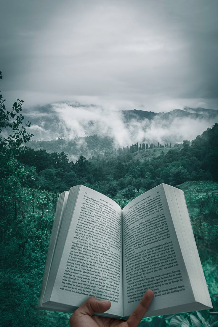 a hand holding an open book in front of a forest filled with fog and low lying clouds