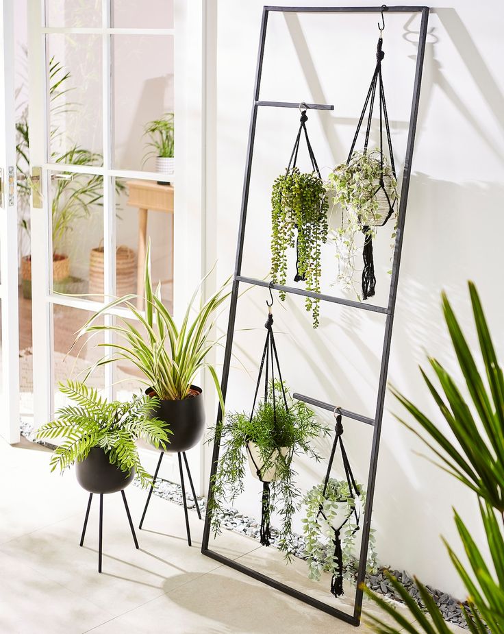 three plant stands with plants in them and one hanging on the wall next to it