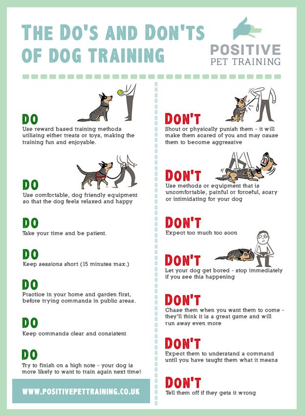 the dos and don'ts of dog training info sheet with instructions on how to use it