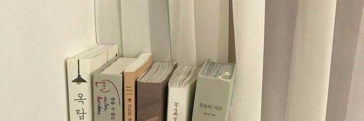 several books are lined up on a shelf in front of a window with white curtains