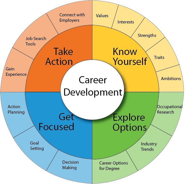 a wheel diagram with the words career development, get focused, take action and know yourself