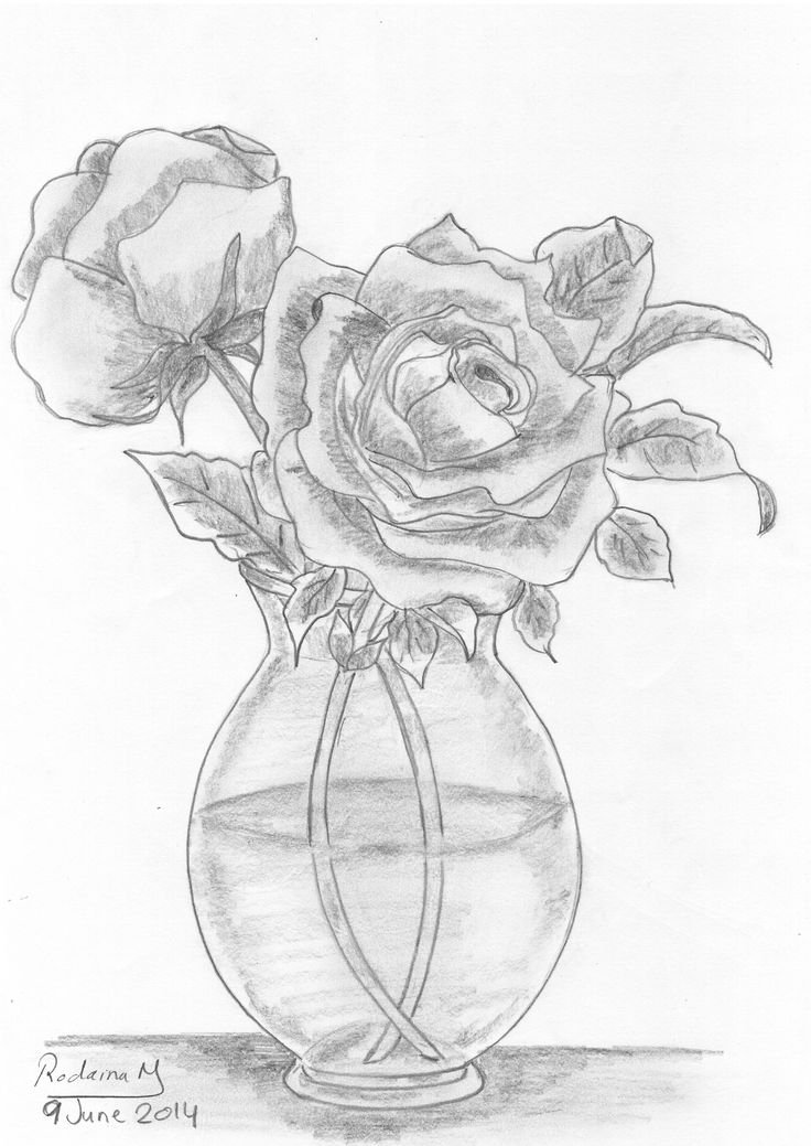 a drawing of two roses in a vase