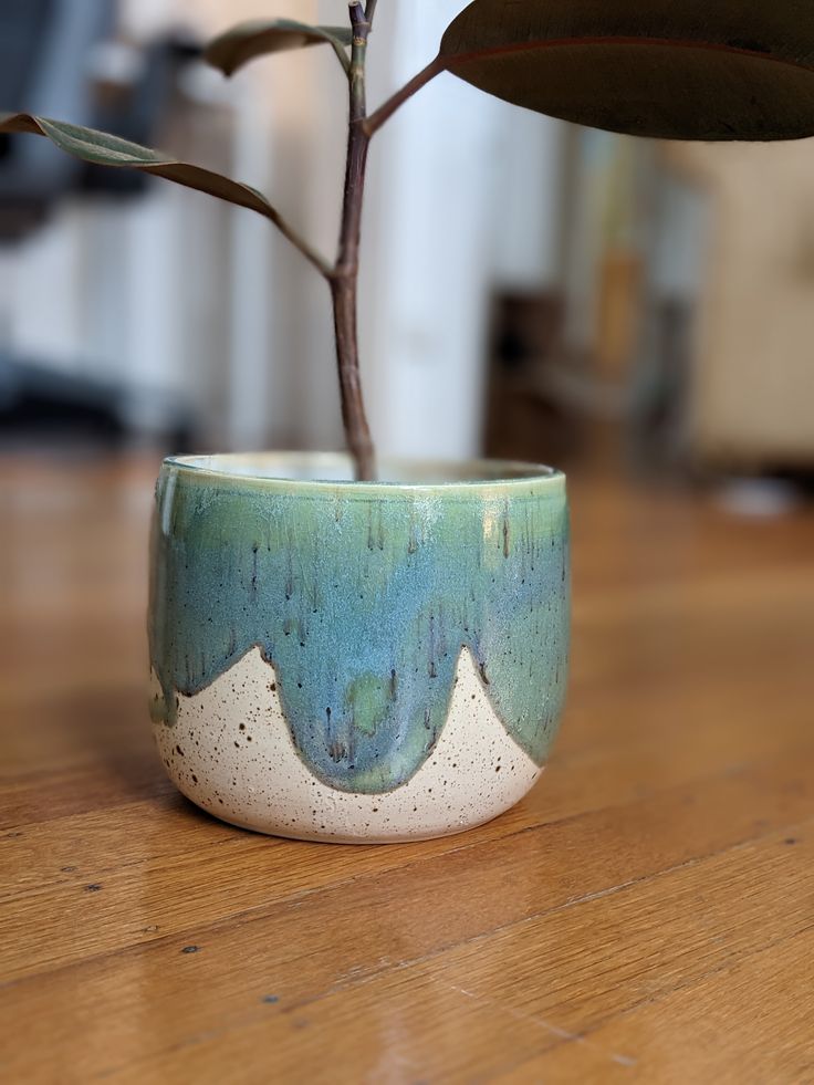 a potted plant sitting on top of a wooden table