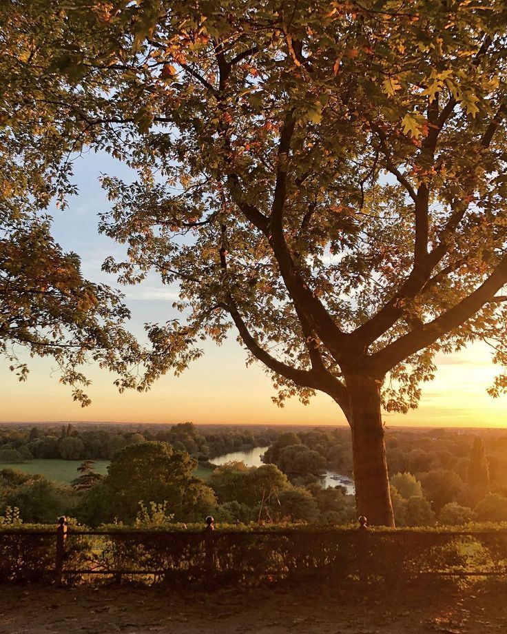 the sun is setting behind a tree on top of a hill overlooking a lake and countryside