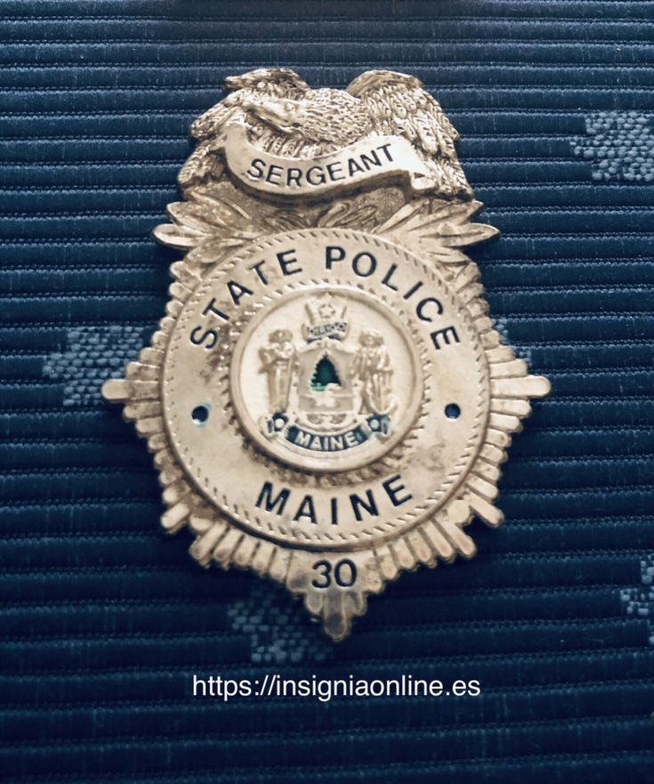 the state police badge is shown in this image