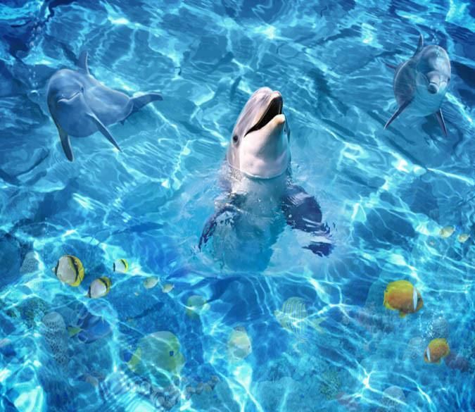 a dolphin swims in the water surrounded by fish