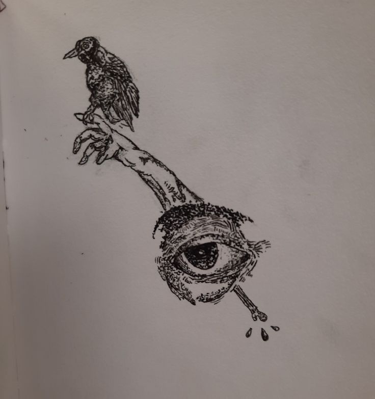 a drawing of a bird perched on the arm of someone's hand with an eye in it