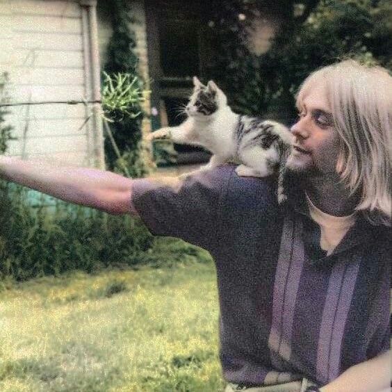 a man holding a cat on his shoulder in front of a house with a kitten sitting on top of him