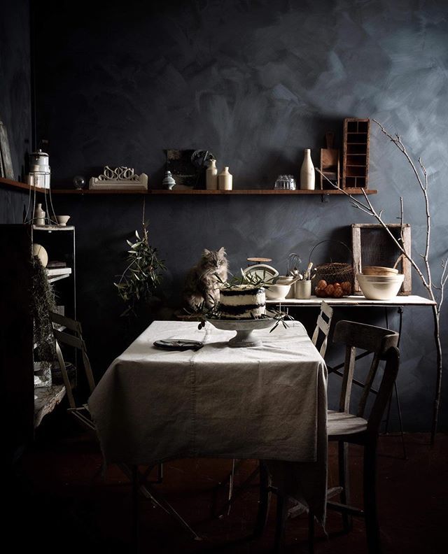 a cat sitting on top of a table in front of a shelf filled with dishes