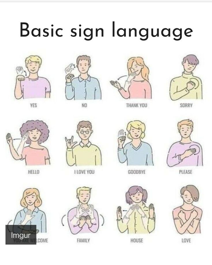 some people are using their cell phones and the words'basic sign language'in different languages