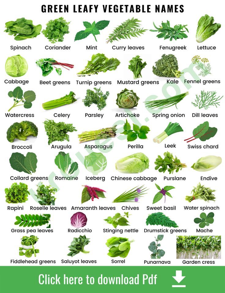 List of 45 Green Leafy Vegetables with Images Vegetables Names With Pictures, Basil Water, Name Of Vegetables, Fruits And Vegetables List, Vegetable Chart, Green Leafy Vegetables, Water Spinach, Vegetable Pictures, Different Types Of Vegetables