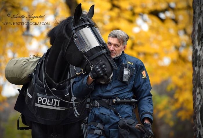 a police officer walking with a horse in the fall leaves behind him and looking at his camera