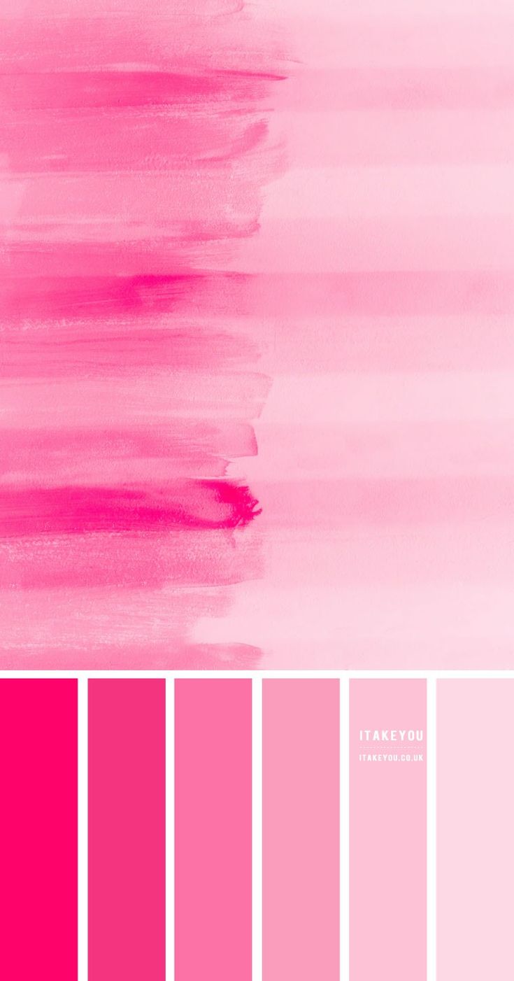 a color palette with pink and red tones