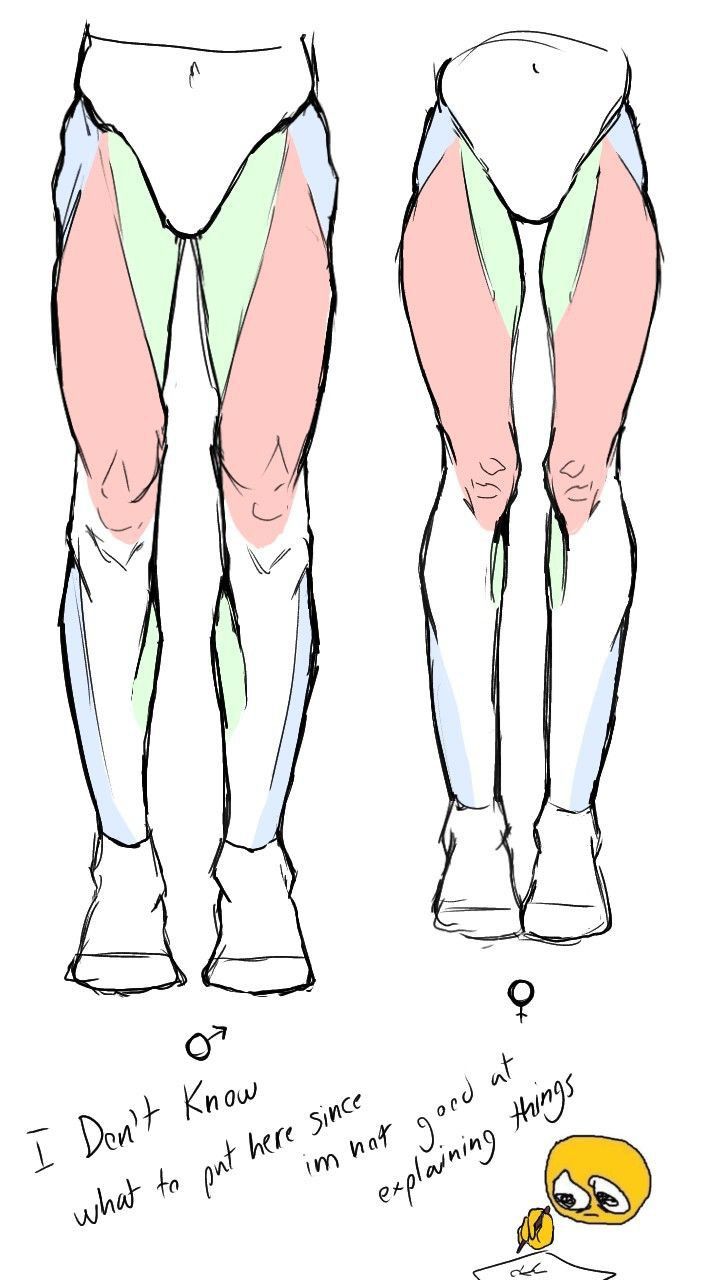 an image of the legs and ankles of a person with their feet in different positions