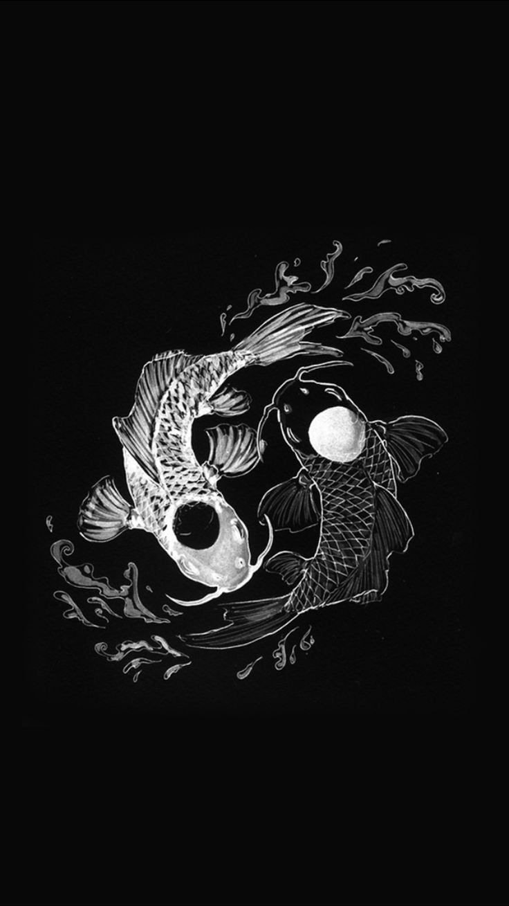 Yin Yang Koi Fish Fish Swimming, Koi Fish, Koi, Swimming, Fish, Black And White, Water, White, Black