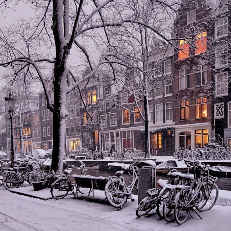 several bicycles are parked in the snow near some buildings and trees with no leaves on them