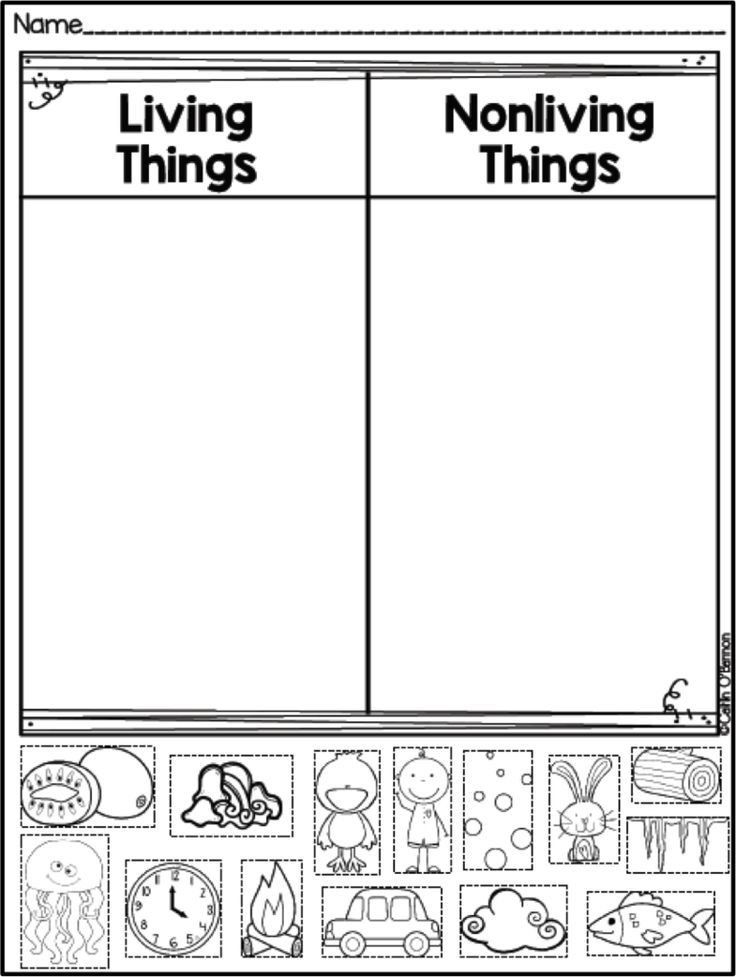 the worksheet for living things and nonliving things with pictures on it