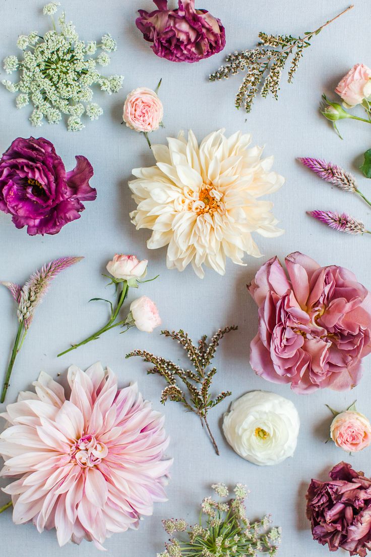 many different types of flowers on a white surface