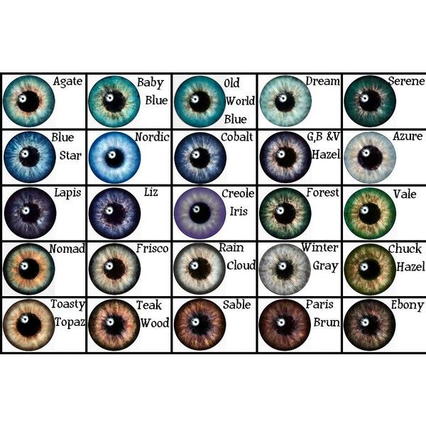 an eye chart with different colored eyes and the names of each individual iris, including one blue