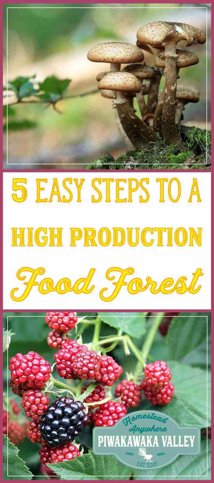 the title for five easy steps to a high production food forest, with pictures of berries and mushrooms