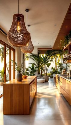 a kitchen with wooden cabinets and lots of plants