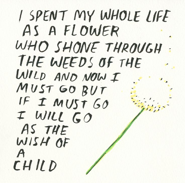 a dandelion with the words i spent my whole life as a flower who shone through the weeds of the wild and how if it must not,