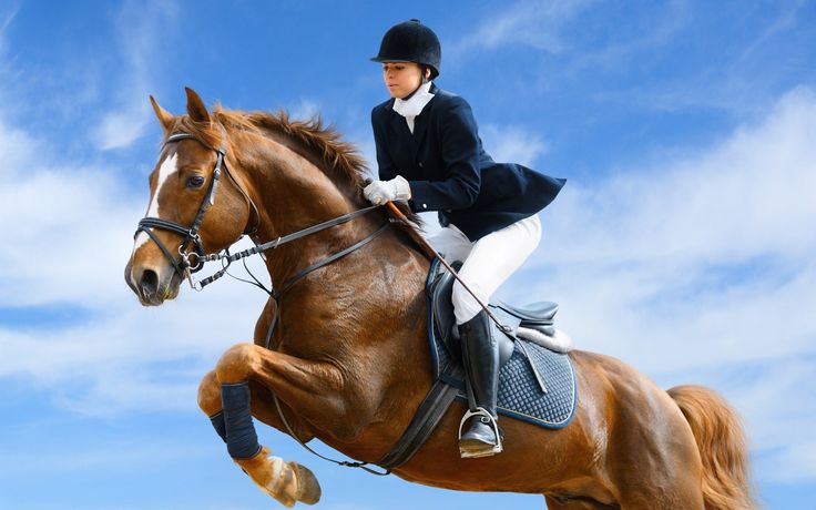 a woman riding on the back of a brown horse in an equestrian show outfit and helmet