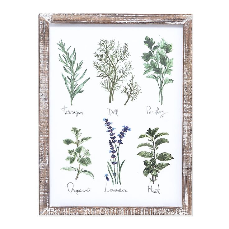 FM17G1055-B1_lifestyle_2.jpg Herb Art, Rustic Country Farmhouse, Primitive Bathrooms, French Country Bathroom, Primitive Homes, Kitchen Herbs, Herbs Spices, Primitive Kitchen, Primitive Decorating Country