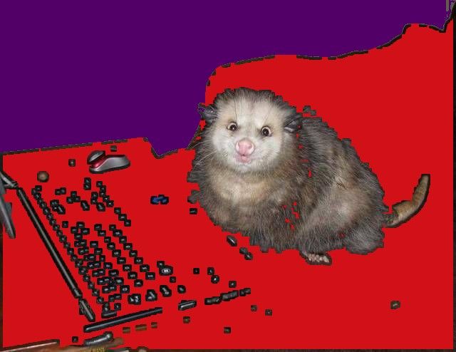 an animal that is sitting on top of a red surface next to a computer keyboard