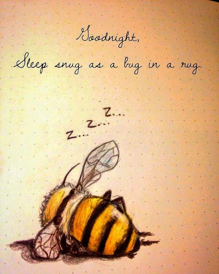 a drawing of a bee laying on its side with the words sleep sing as a bug in a rug