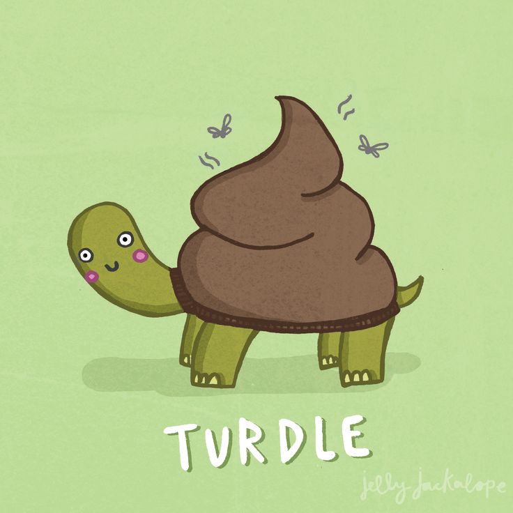 a cartoon turtle with an ice cream cone on it's back and the words turdle written below