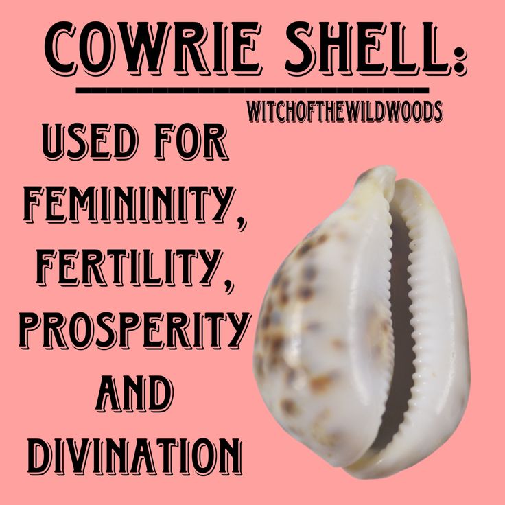 a pink background with an image of a shell and words that say, courrie shell used for feminity, fertiivity, prosperity and divination