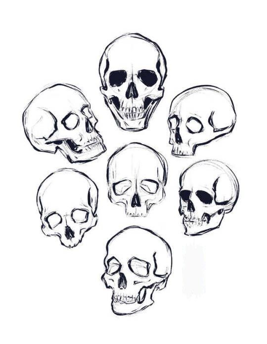 six skulls are shown with chinese characters in the background