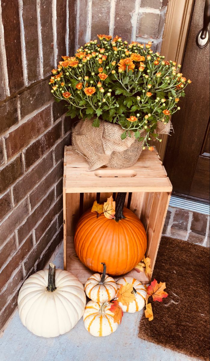 pumpkins and gourds are sitting on the porch