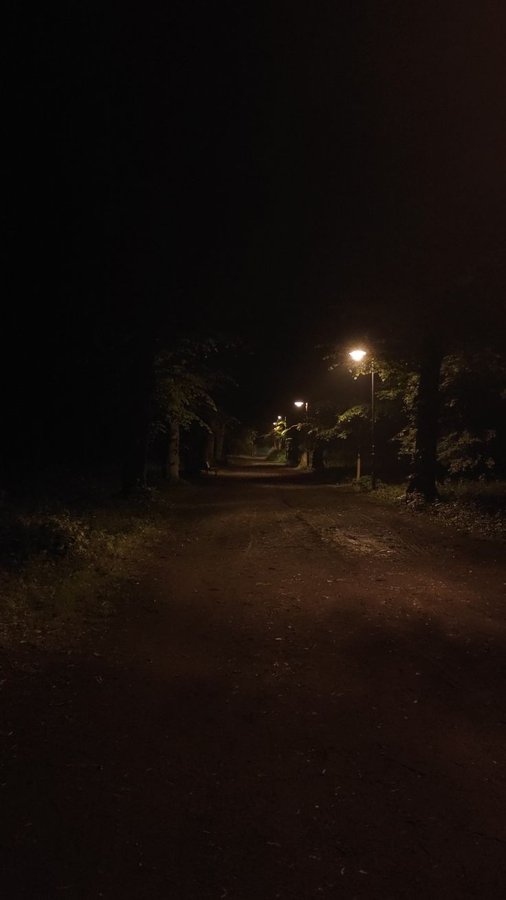 a dirt road at night with street lights and trees on both sides in the dark