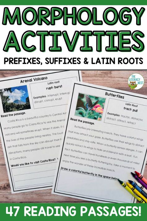 an activity book for reading and writing the text, morphology activities with pictures