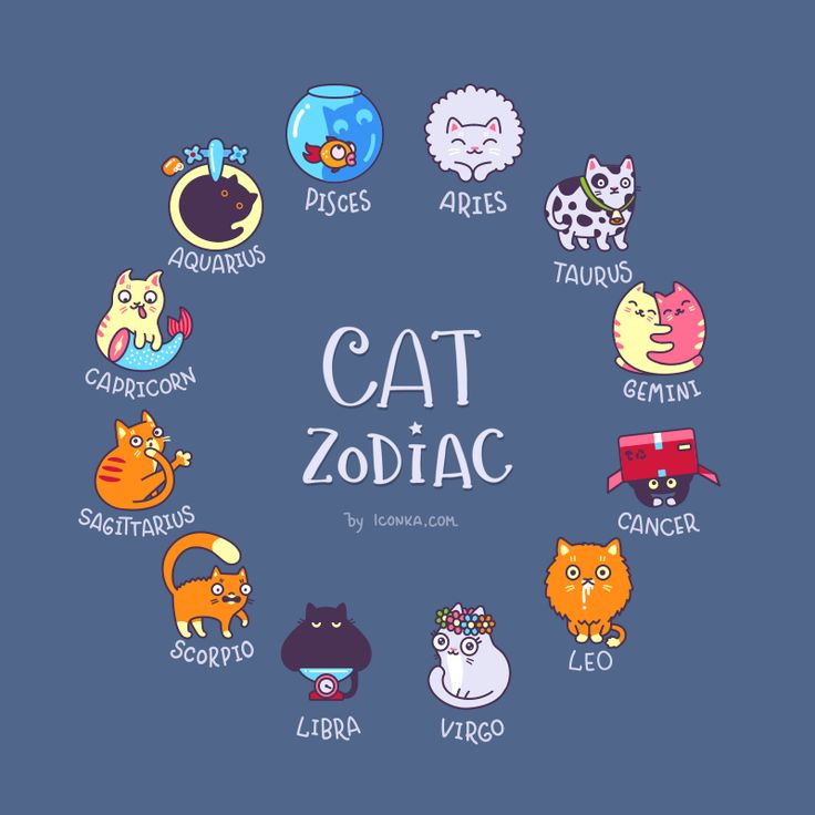 the cat zodiac sign is surrounded by many different types of cats and their names in a circle