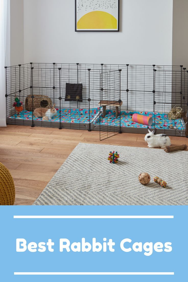 C&C Cages for Rabbits C C Cage Rabbit Ideas, Bunny Habitat Indoor, Diy Bunny Cage Indoor, Cages For Rabbits, Rabbit Cage Indoor, Diy Bunny Cage, Diy Rabbit Cage, Rabbit Hutch Indoor, Indoor Rabbit Cage