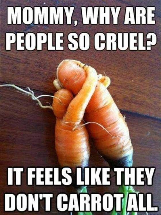 two carrots with the caption mommy, why are people so cruel? it feels like they don't carrot all