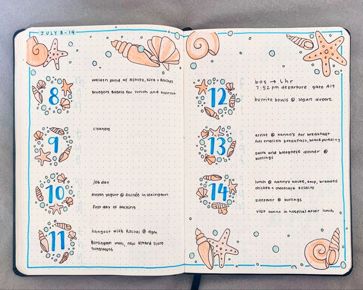 an open notebook with numbers and sea animals on it