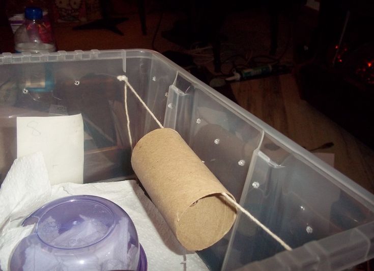 a plastic container filled with toilet paper and other items