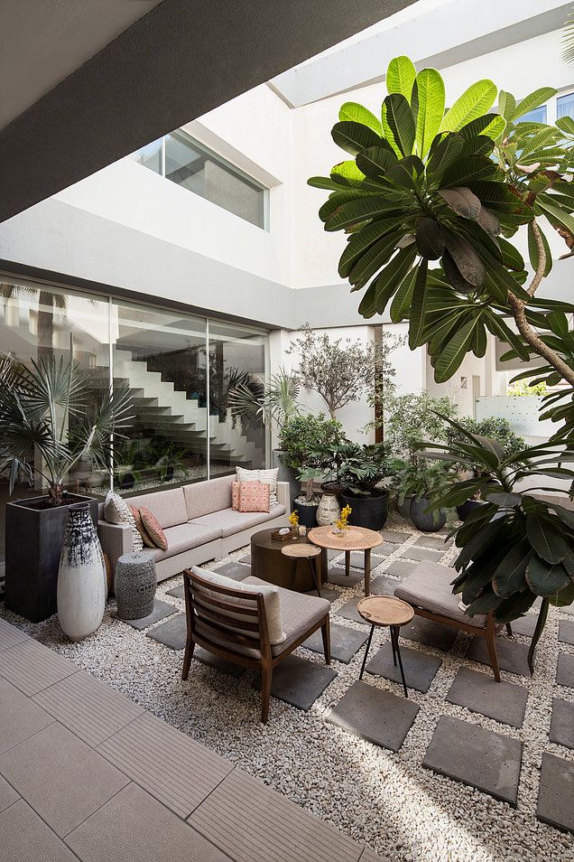 a living room with lots of plants in the middle of it and some couches