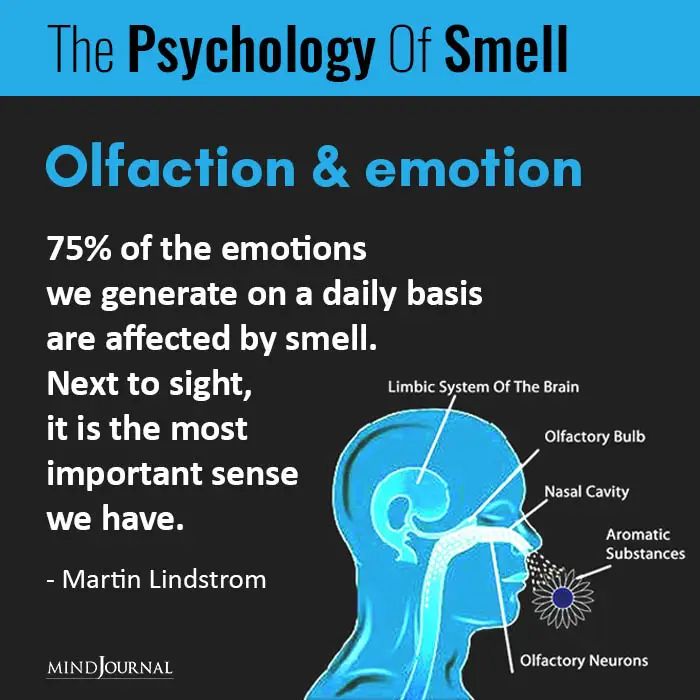 The Psychology Of Olfaction: How Smell Can Influence Your Mood And Behavior Scent Marketing, The Minds Journal, Brain Facts, Limbic System, Minds Journal, Better Mental Health, Sense Of Smell, American Psychological Association, Our Memories