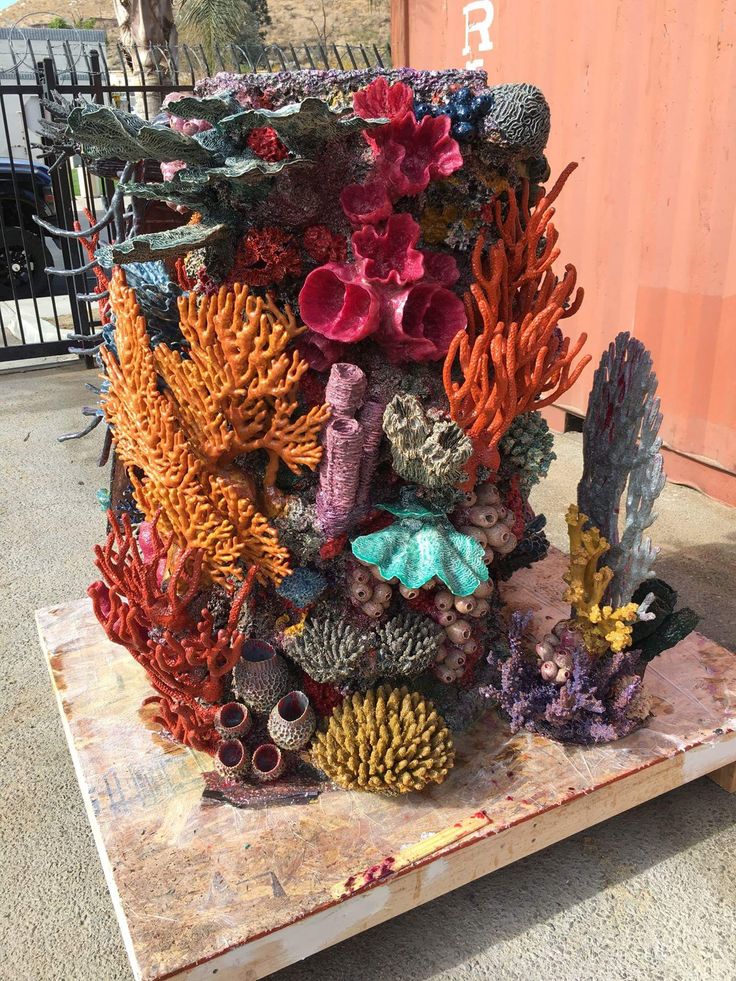 an arrangement of corals and other marine life on a wooden table in front of a shipping container