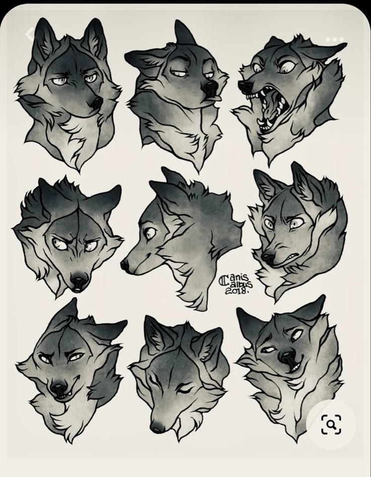 some drawings of wolf heads with different facial expressions and hair colors, all in black and white