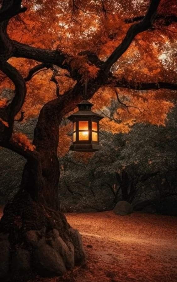 a tree with a lantern hanging from it's branches