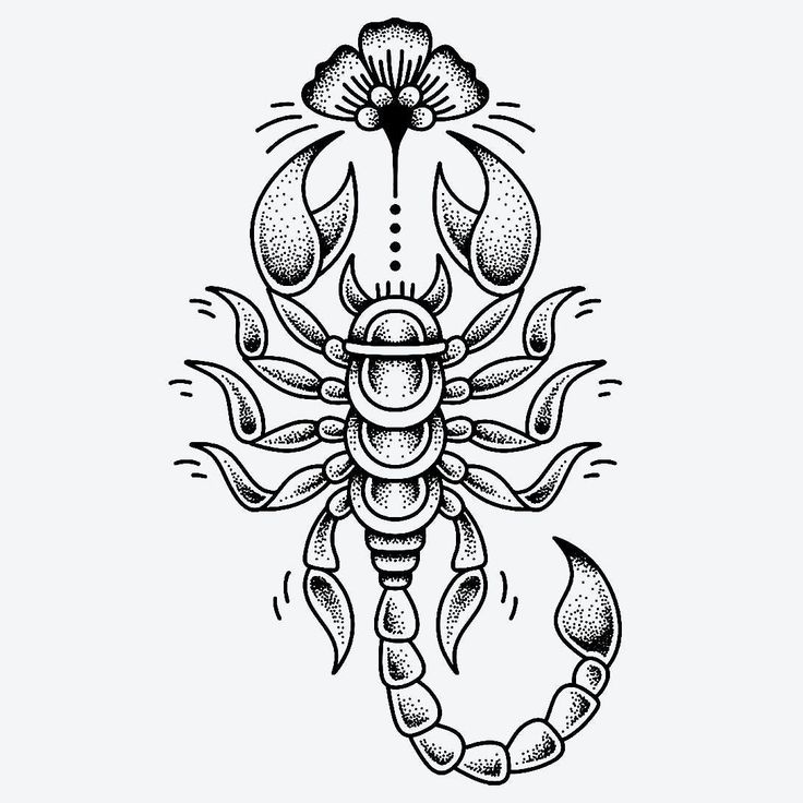 a black and white drawing of a scorpion with an ornate design on it's back