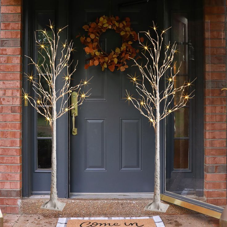 the front door is decorated with lighted trees