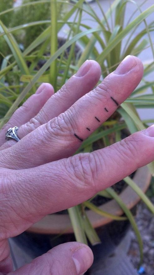 a person's hand with a ring on top of it and grass in the background