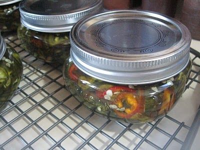 four jars filled with pickles sitting on top of a metal grate next to each other